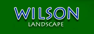 Wilson Landscape, Lewisville