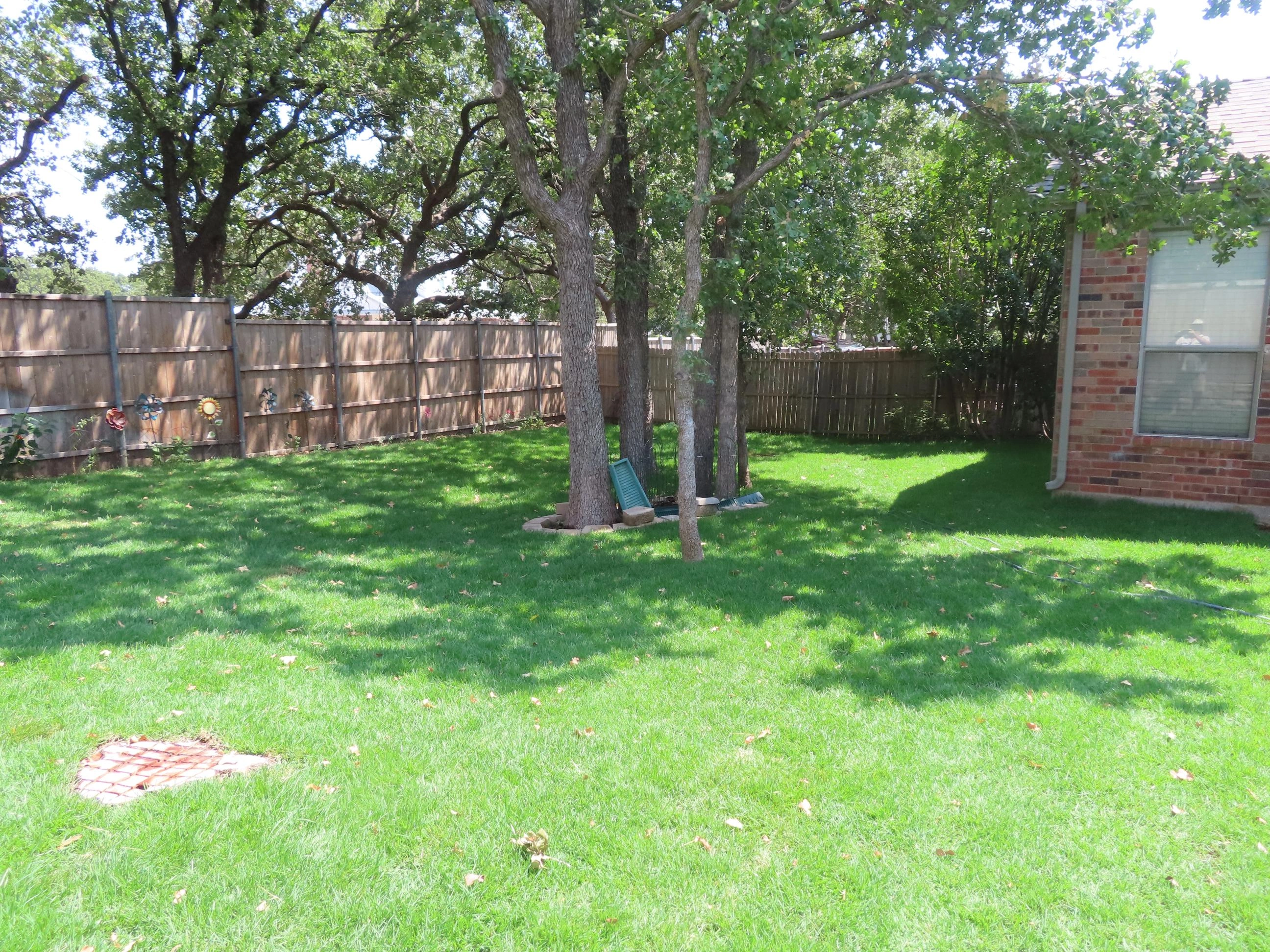 Front yard landscape feature with plants and stones